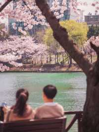 동화속 세상에 온 것만 같은 서울 여행지