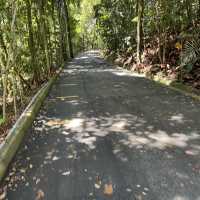 MacRitchie Reservoir and TreeTop Walk! 🌴🍃☀️