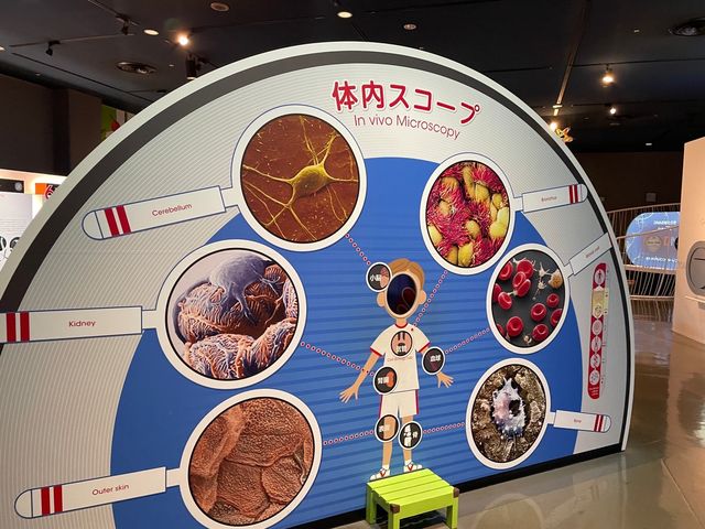 名古屋•伏見！プラネタリウムが人気の科学館【名古屋市科学館】