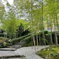 【神奈川】美しい苔を眺めながら散策を楽しむ