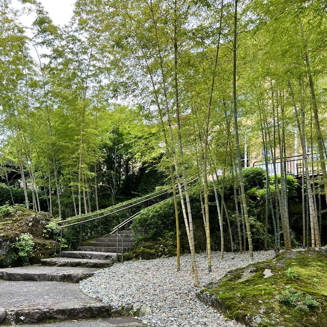 【神奈川】美しい苔を眺めながら散策を楽しむ