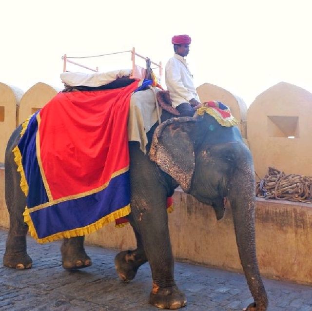 Amber Fort, Jaipur, India