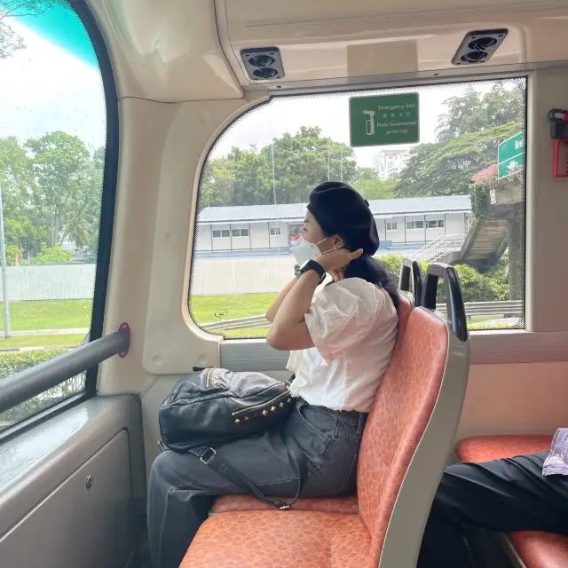 싱가포르 칠리크랩