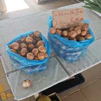 Pasar Tamu Limbang, Medan Bangkita