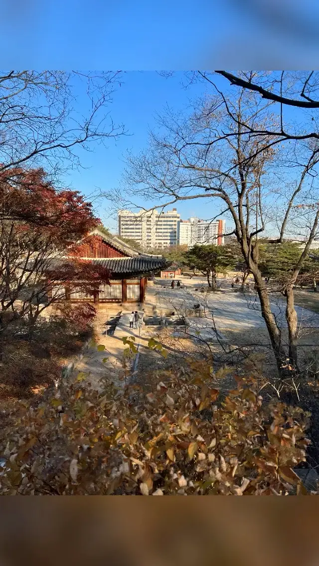 Changdeokgung Palace in Seoul 