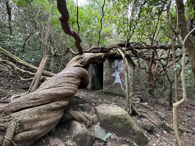 北港➡️茅坪➡️昂平營地
