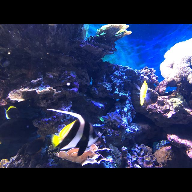 พามาเที่ยว New York Aquarium ค่ะ