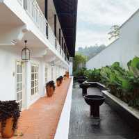 luxury meets comfort cameron highland resort 