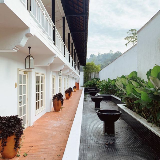 luxury meets comfort cameron highland resort 