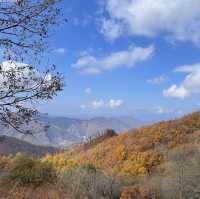 민둥산에서 가을 막차타기