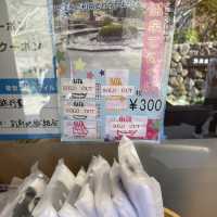 鬼石坊主地獄〜大分•別府