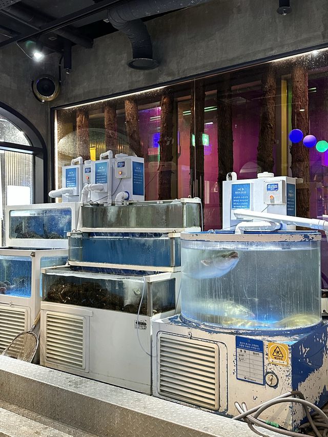 강남 한복판 루프탑 회맛집, 강남어시장 🐟