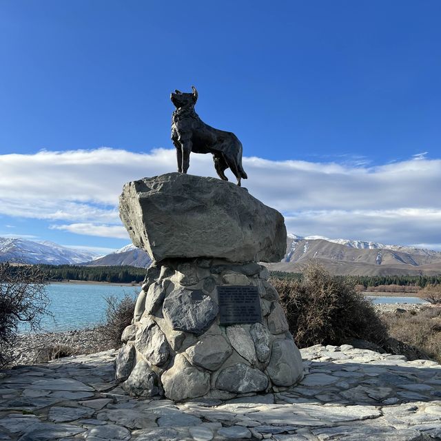 Lake Tekapo & Church of Good Shepherd 