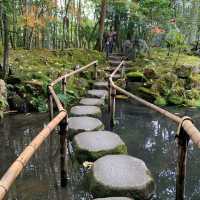 京都紅葉2022  天授庵の素晴らしいすぎる紅葉
