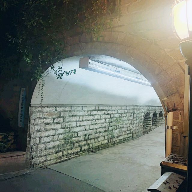 Night walks 