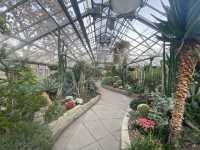 Allan Gardens Conservatory in Toronto 🇨🇦