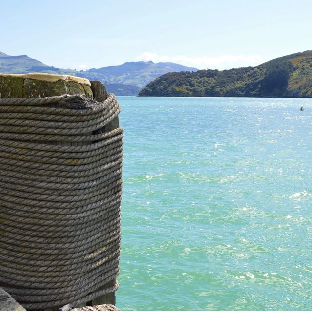 Akaroa - New Zealand 