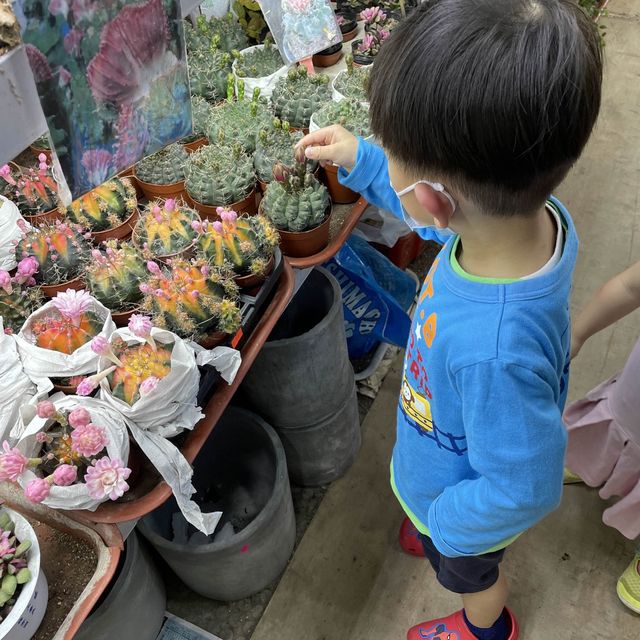 漫遊生活，遊玩花墟