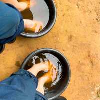 Walk camp ไร่อ้อมกอดภูเขา ไร่แห่งการแบ่งปัน
