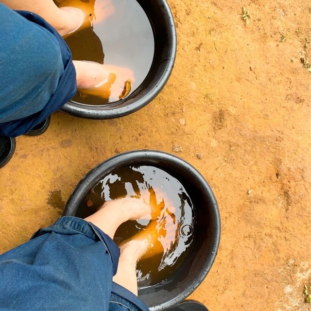 Walk camp ไร่อ้อมกอดภูเขา ไร่แห่งการแบ่งปัน