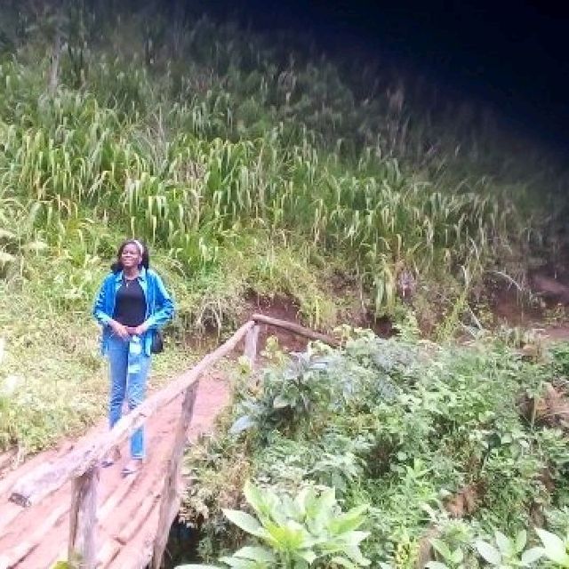 day trip to Materuni waterfall and coffee tou