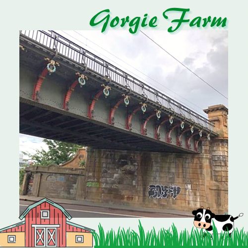 愛丁堡城市中的友好小農場Gorgie Farm