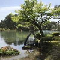 日本三大名園之一 兼六園
