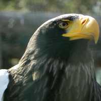 big and amazing zoo in Prague