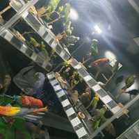 Amazing zooalogical museum 