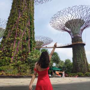 Why I fell in love with Singapore 