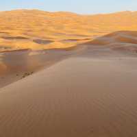 The great Sahara Desert 🐪 