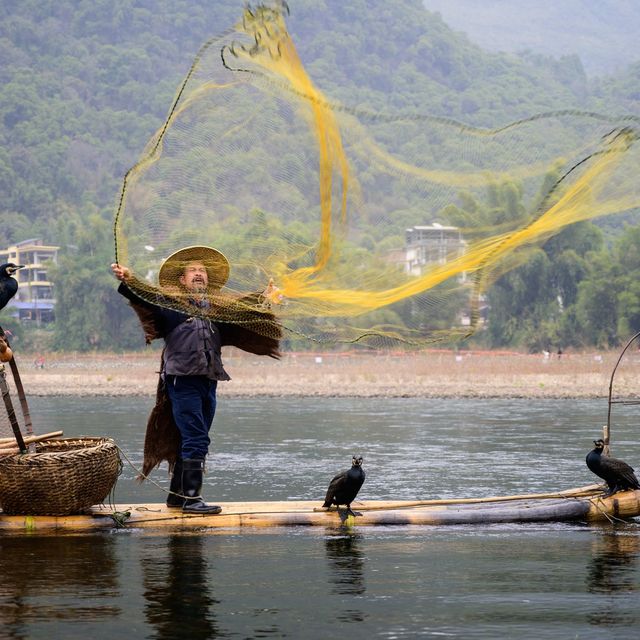 Guilin Cormorant Fishing Show