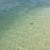 布袋澳海鮮村