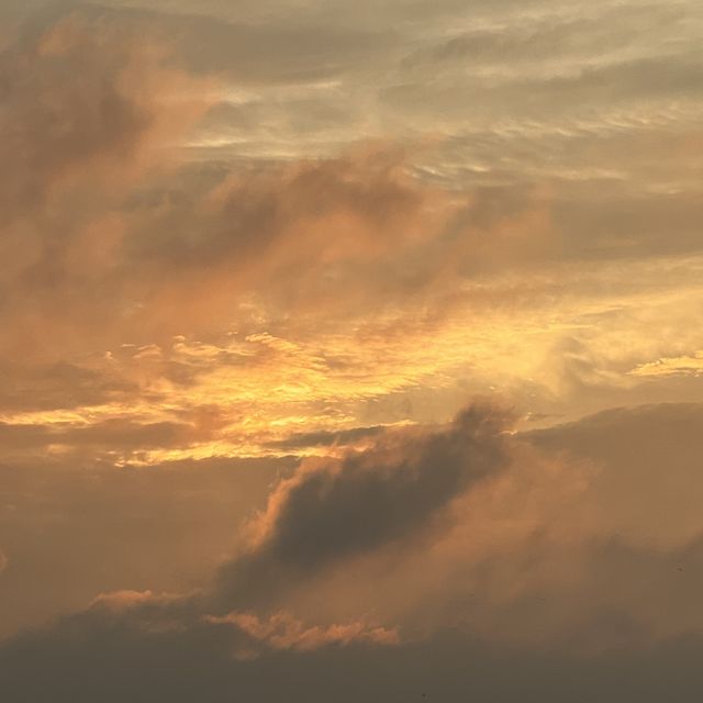 Beautiful nature