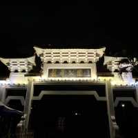 打卡深圳龍華公園的夜景