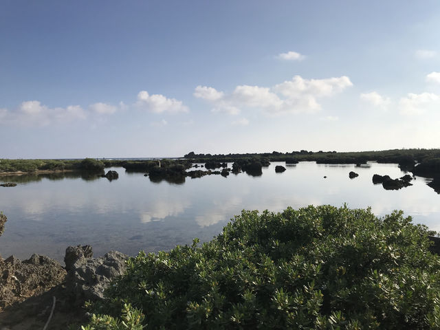 台東綠島: 紫坪自然生態區