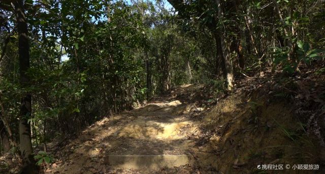 Quarry Bay beginner hiking route | Admire the clock flowers and search for strange rocks.