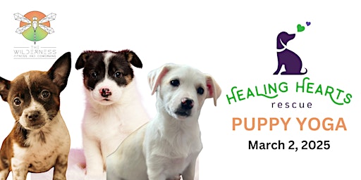 Puppy Yoga with Healing Hearts Rescue @ The Wilderness Fitness & Coworking | The Wilderness Fitness and Coworking