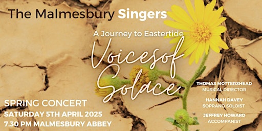 Malmesbury Singers Spring Concert 2025 - Voices of Solace | Malmesbury Abbey