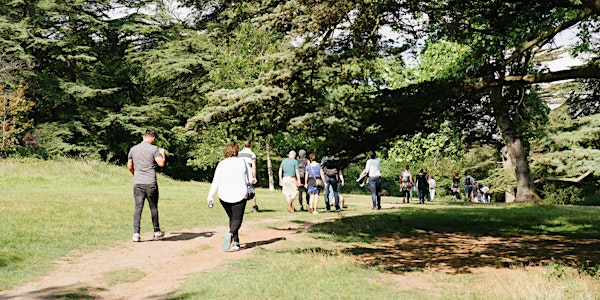 Netwalking: Wandering wetlands in Lewes | Depot Cinema and Restaurant