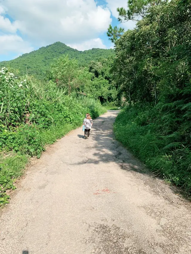 粉嶺音樂漁村燒烤