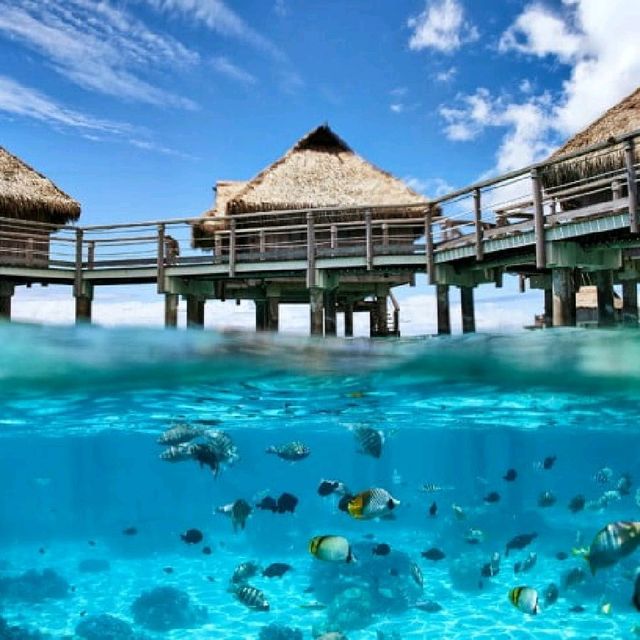 Tahiti, French Polynesia