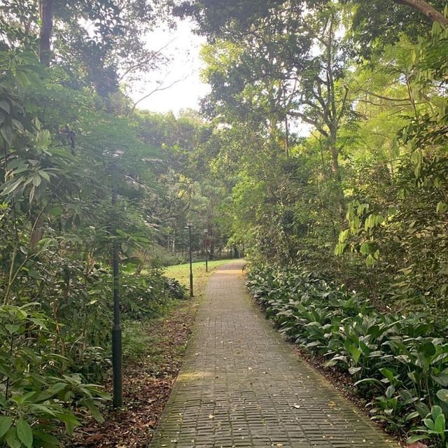 Bukit Batok Nature Park