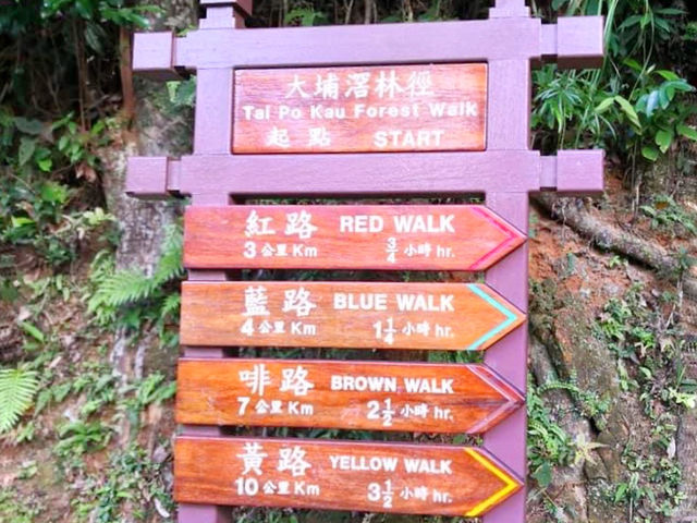 大埔滘林徑