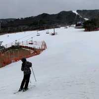 무주 덕유산 리조트 ❄