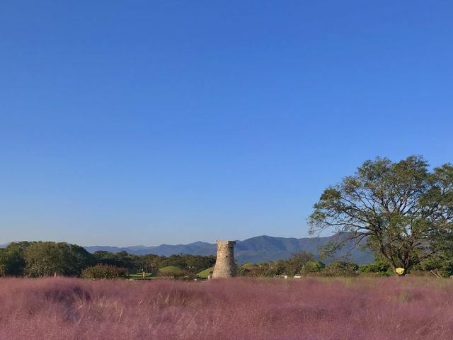 경주여행 필수코스 첨성대