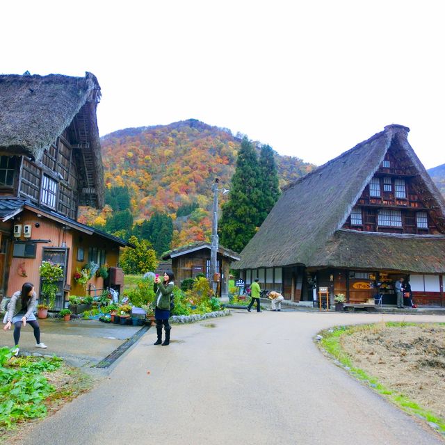 【富山】懐かしい風景の世界遺産
