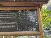 【徳島】祖谷渓谷のかずら橋