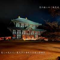 大仏といえば！