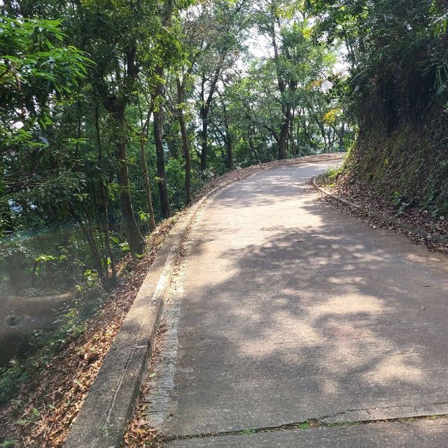 新春行大運